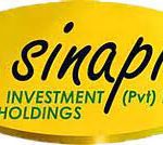 Graduate Trainee : Sinapis Investment Holdings