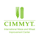 CIMMYT Zimbabwe