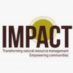 IMPACT