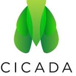 Cicada Africa